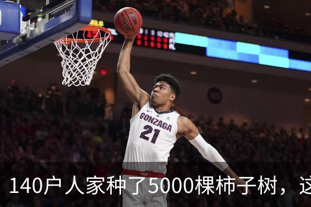 140户人家种了5000棵柿子树，这个浙江小村国庆6天来了8万人